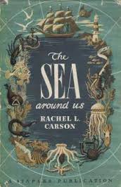 Carson Sea