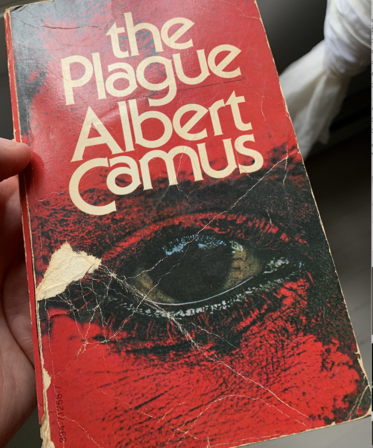 albert camus the plague pages